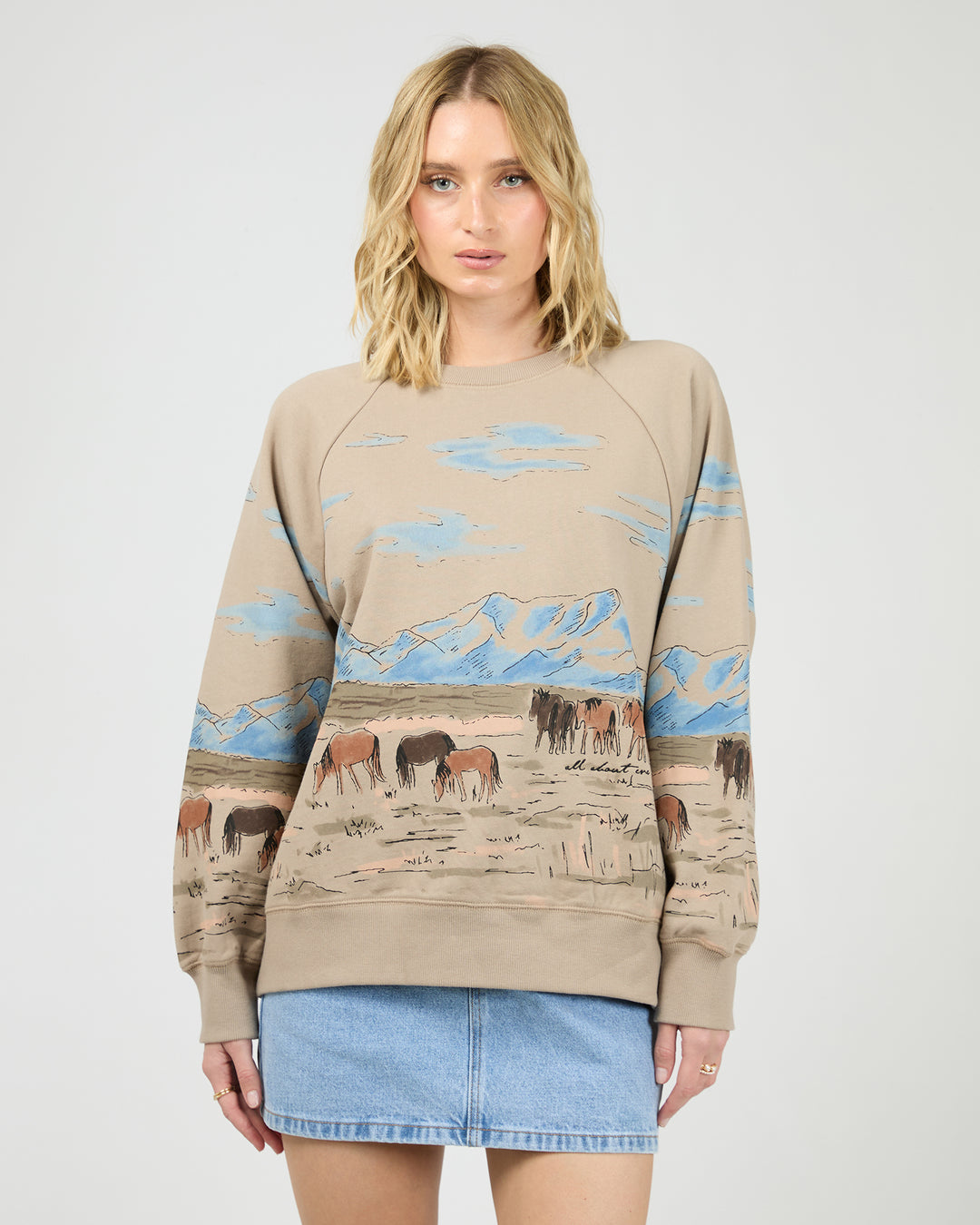 Wild Horses Box Raglan Crew Stone