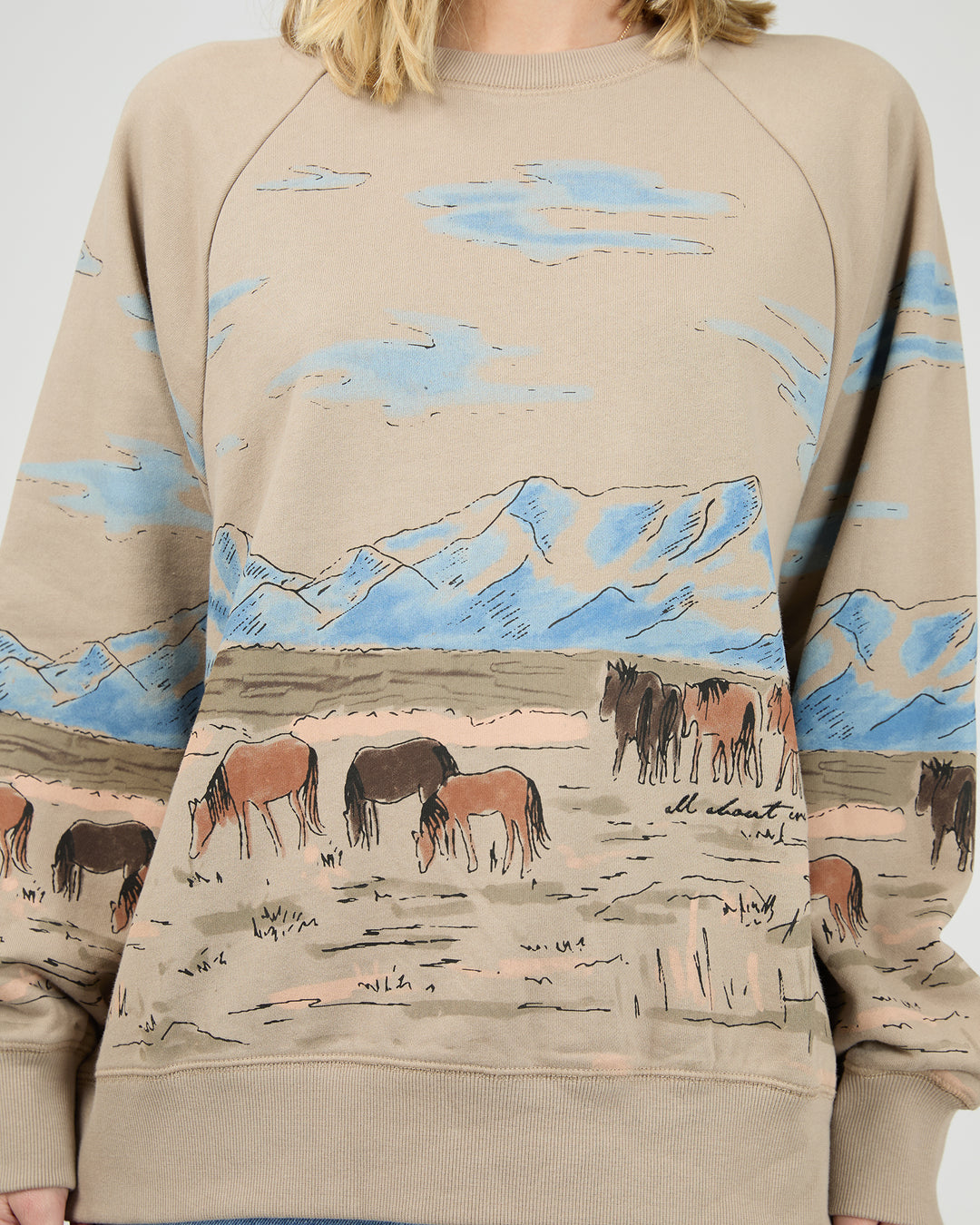 Wild Horses Box Raglan Crew Stone