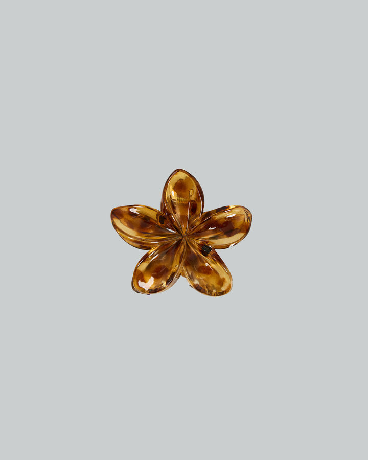 Hibiscus Clip Tort